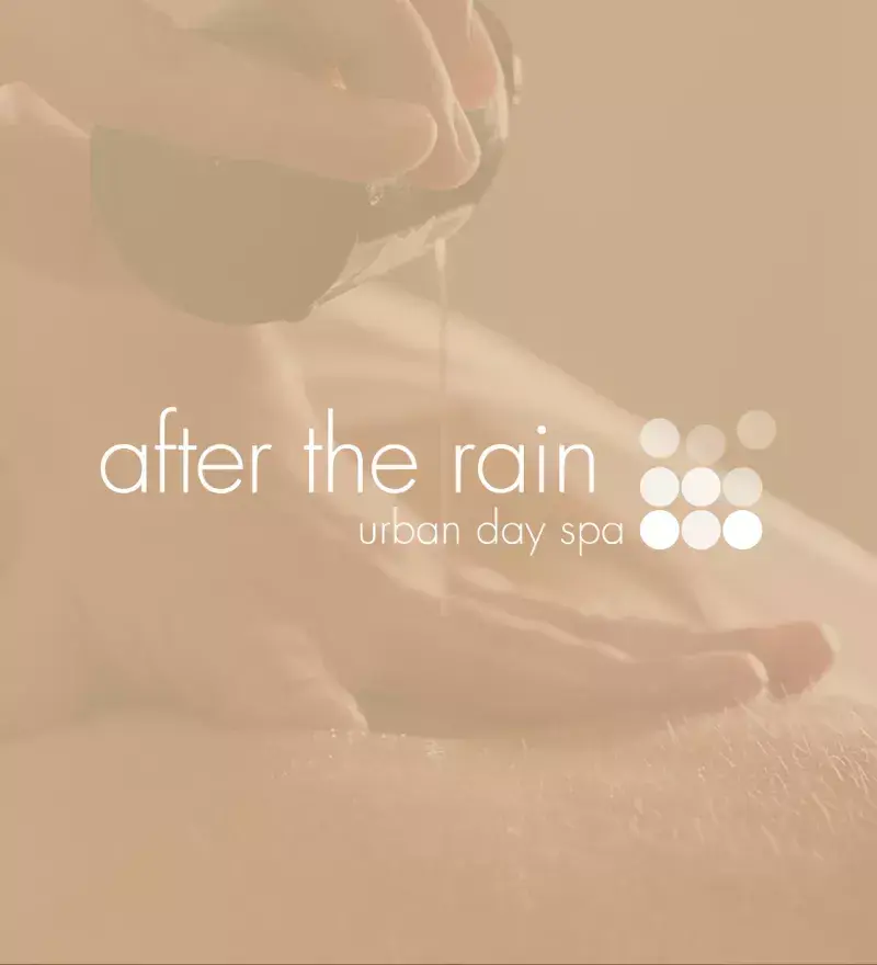 Thumbnail of After the Rain image