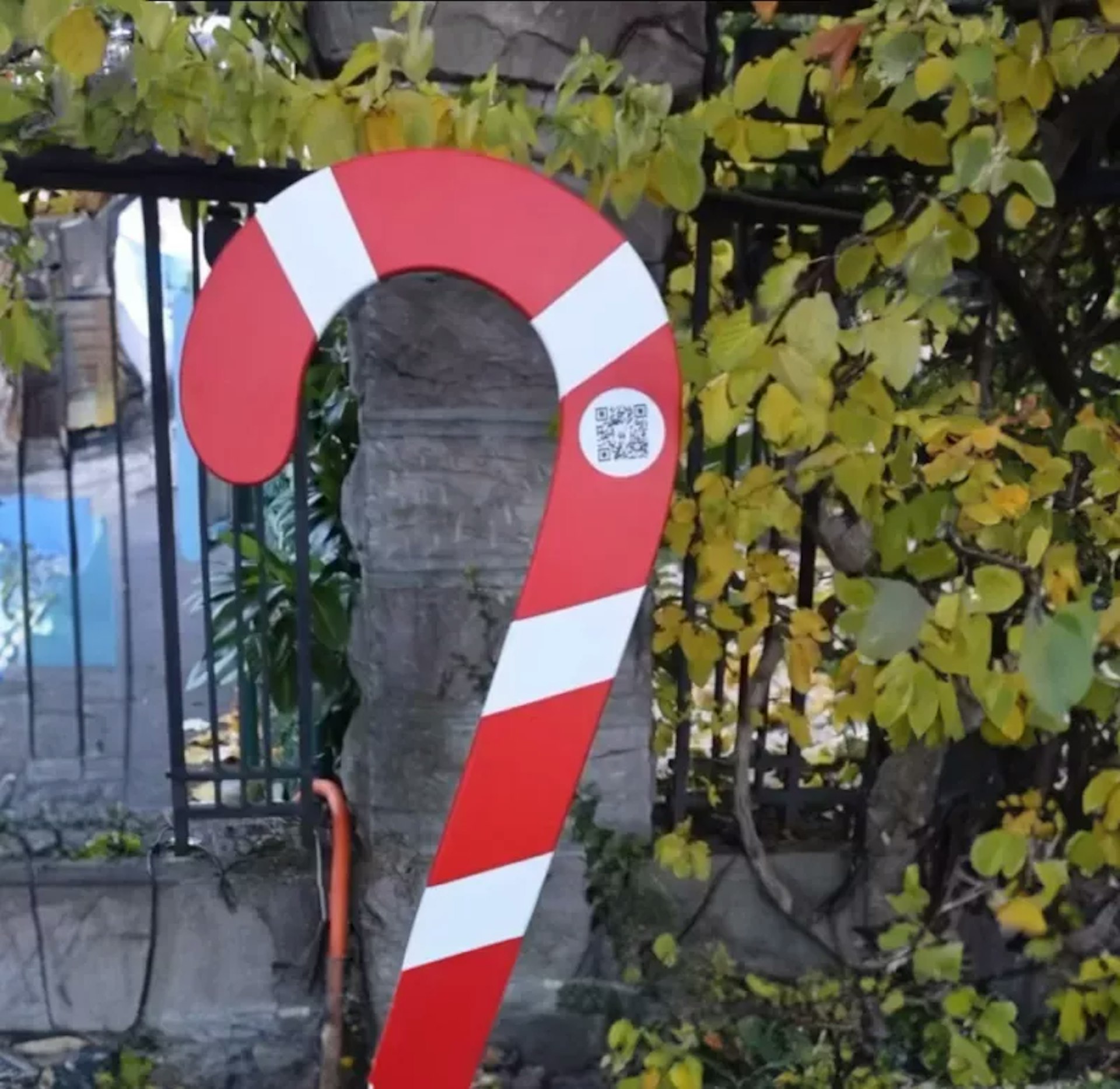 Giant candy canes decorated for Christmas