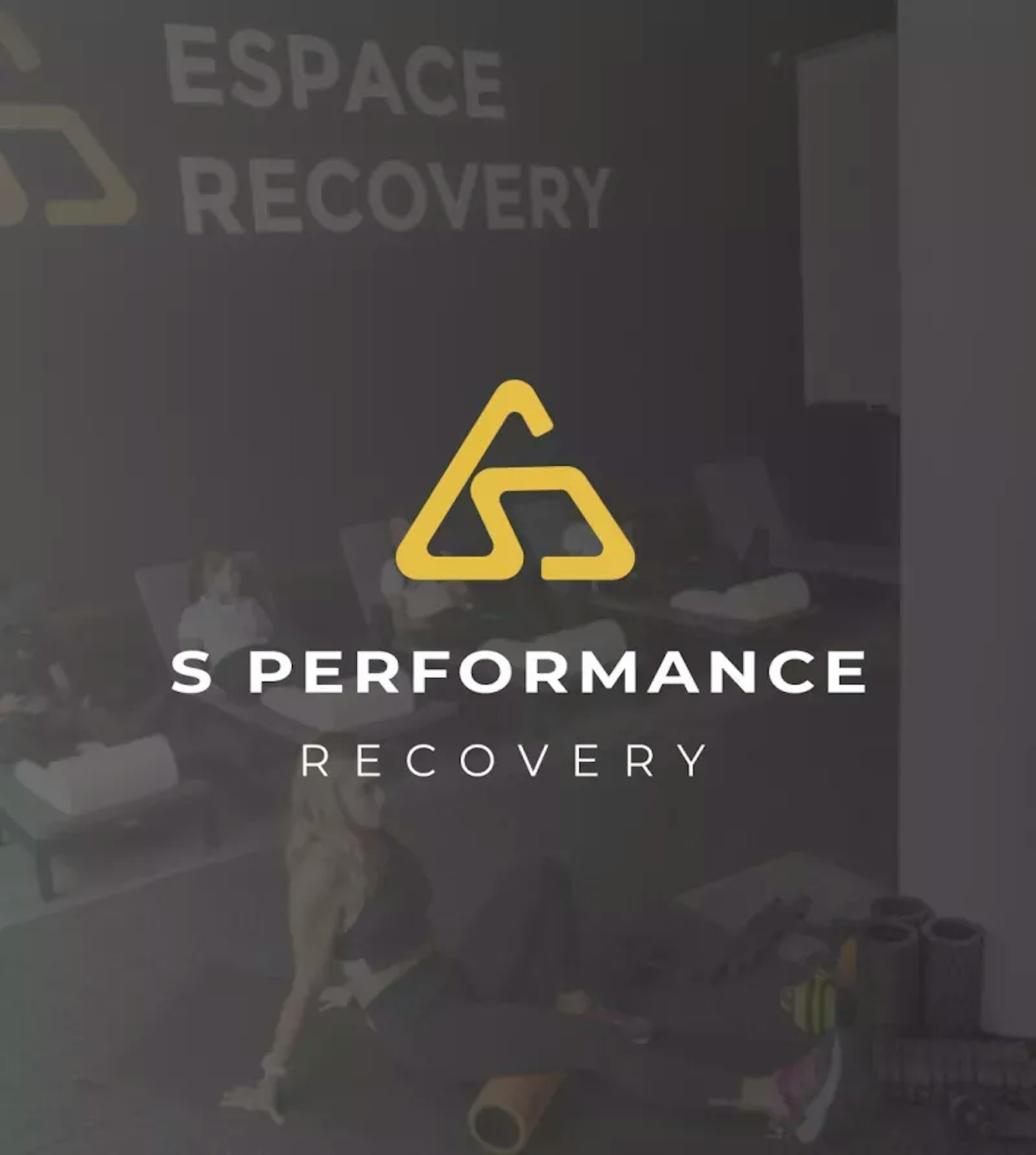 S Performance logo