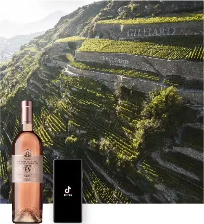 Campagne publicitaire de vin avec une bouteille et un téléphone affichant TikTok