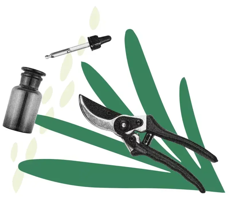 T&N - Illustration étude de cas